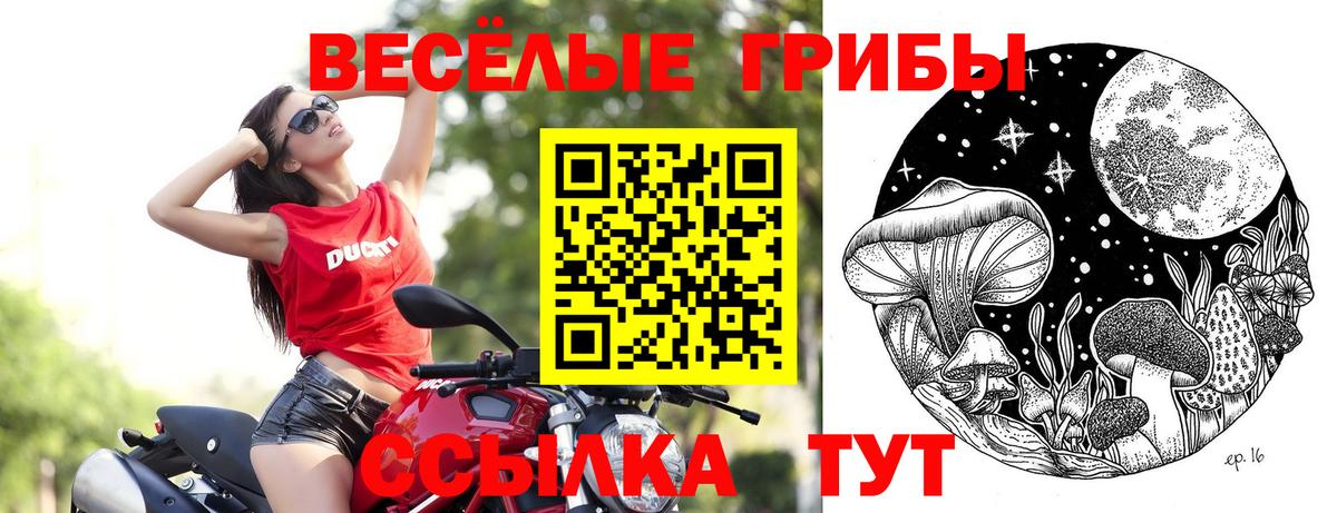 Псилоцибиновые грибы мицелий  Вход с VPN  Россошь 